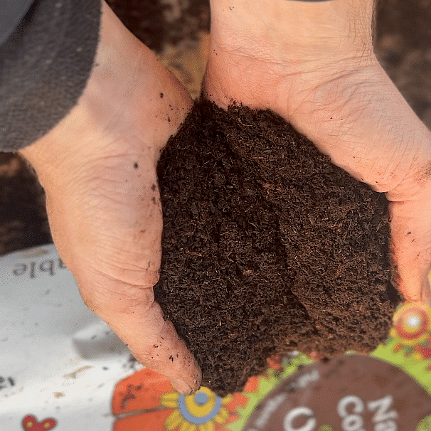 An interview about compost with Charlotte Beaty at Natural Grower: Important information about your soil health