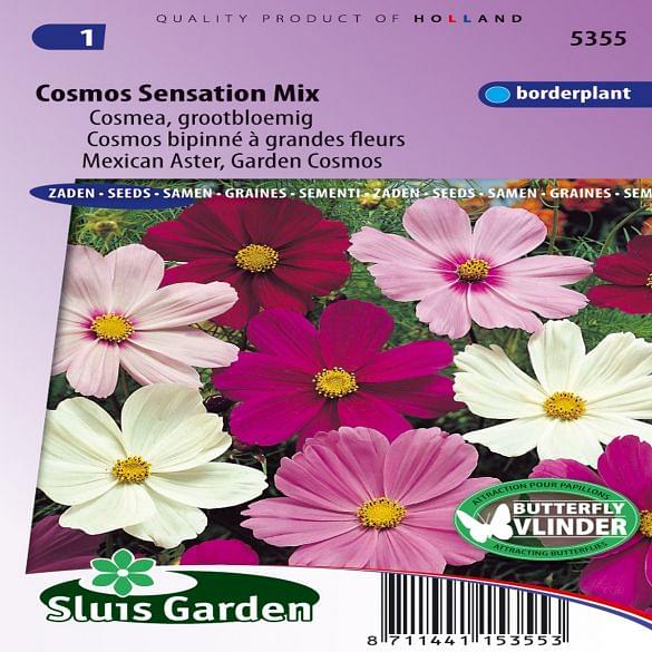 Garden Cosmos Sensation Mix