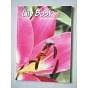 The Lily Book